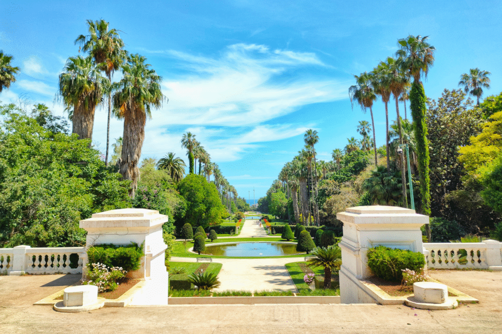 arvores-e-fontes-do-jardim-botanico