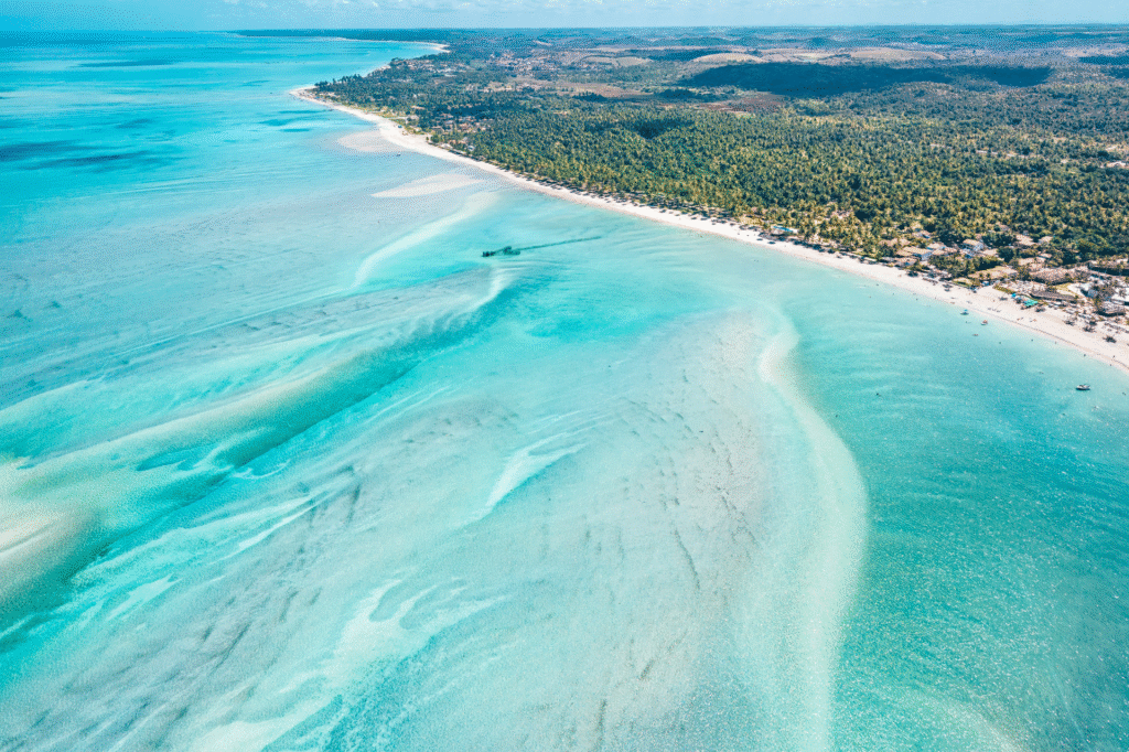 praia de maragogi vista de cima