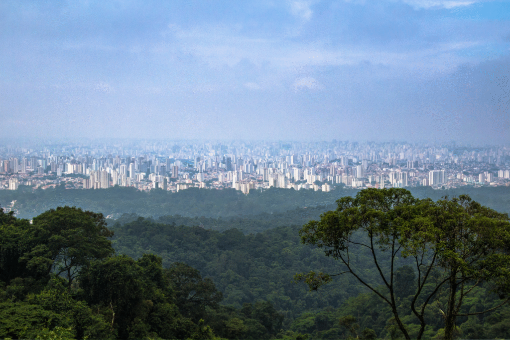 floresta-da-cantareira-com-cidade-ao-fundo-vista-drone